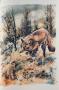 1799916-6a65bd6223666.jpg