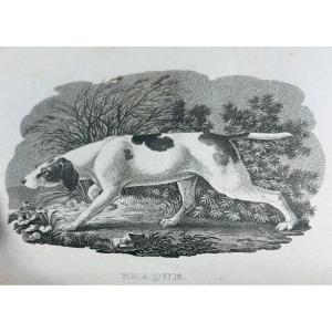 ANONYME - Traité complet de la chasse au fusil. Audot, 1823, reliure moderne, 8 planches en N&B