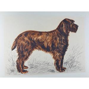 Benoist And Massonnet - Our Dogs Of The Future. Arc-en-ciel Publishing, 1944, Illustrated By Collot.