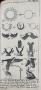 1839260-6ad1c373974cd.jpg