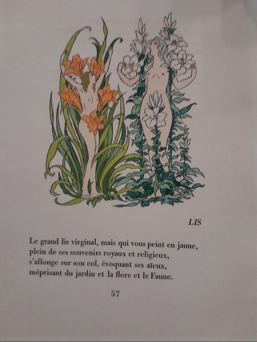 Livre Ancien Hesse Raymond Fleurs De France -photo-2