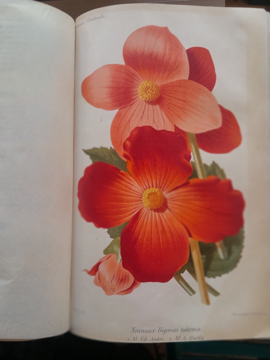 Old Books Horticultural Reviews 1882 1883 1884-photo-2