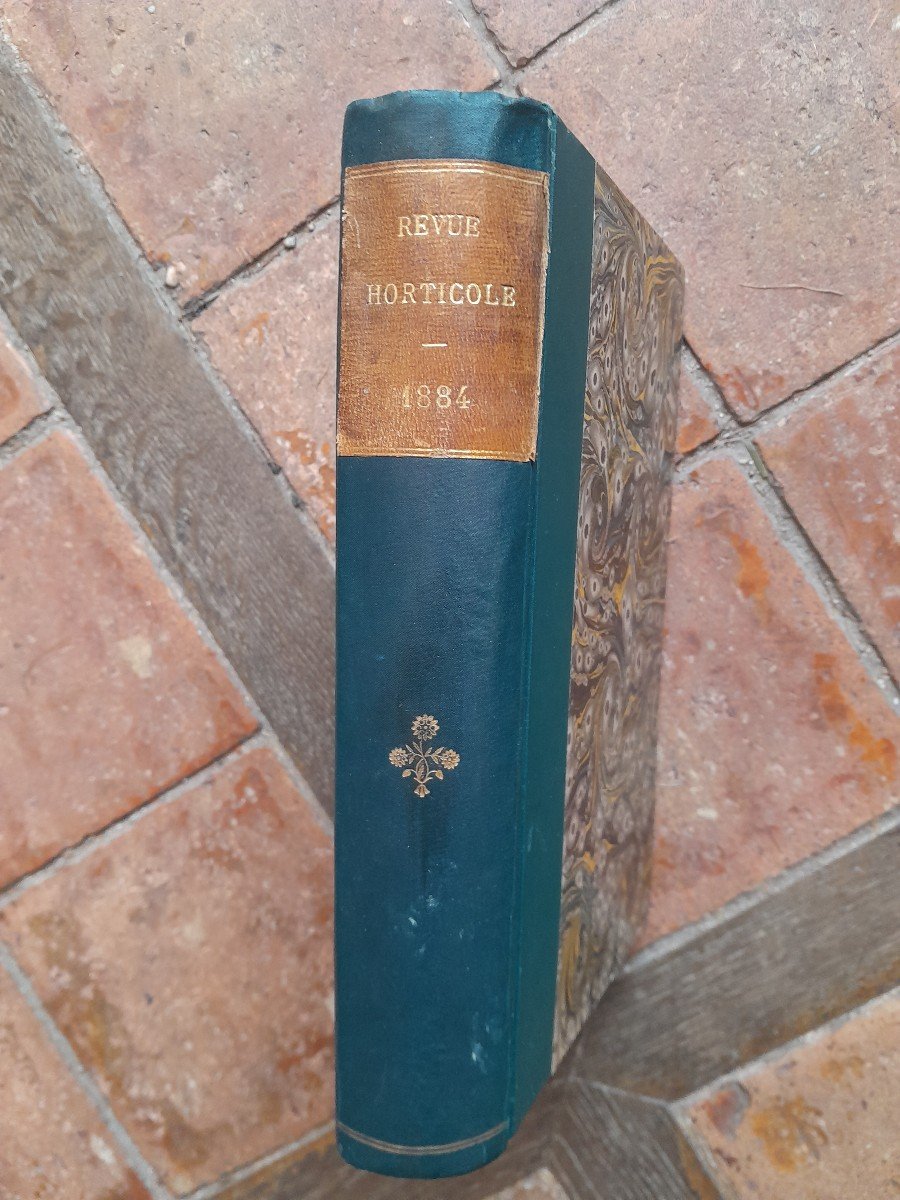 Old Books Horticultural Reviews 1882 1883 1884