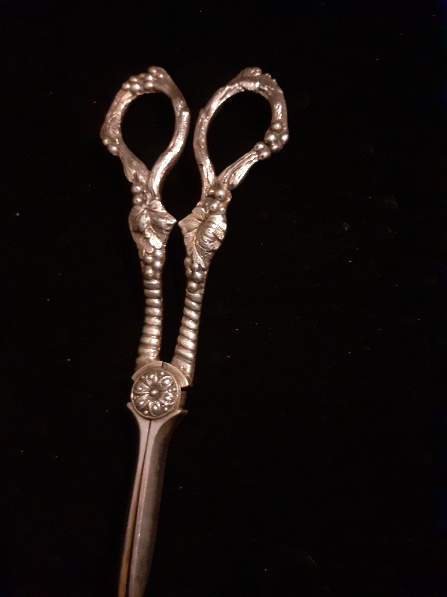 Silver Metal Grape Scissors -photo-1