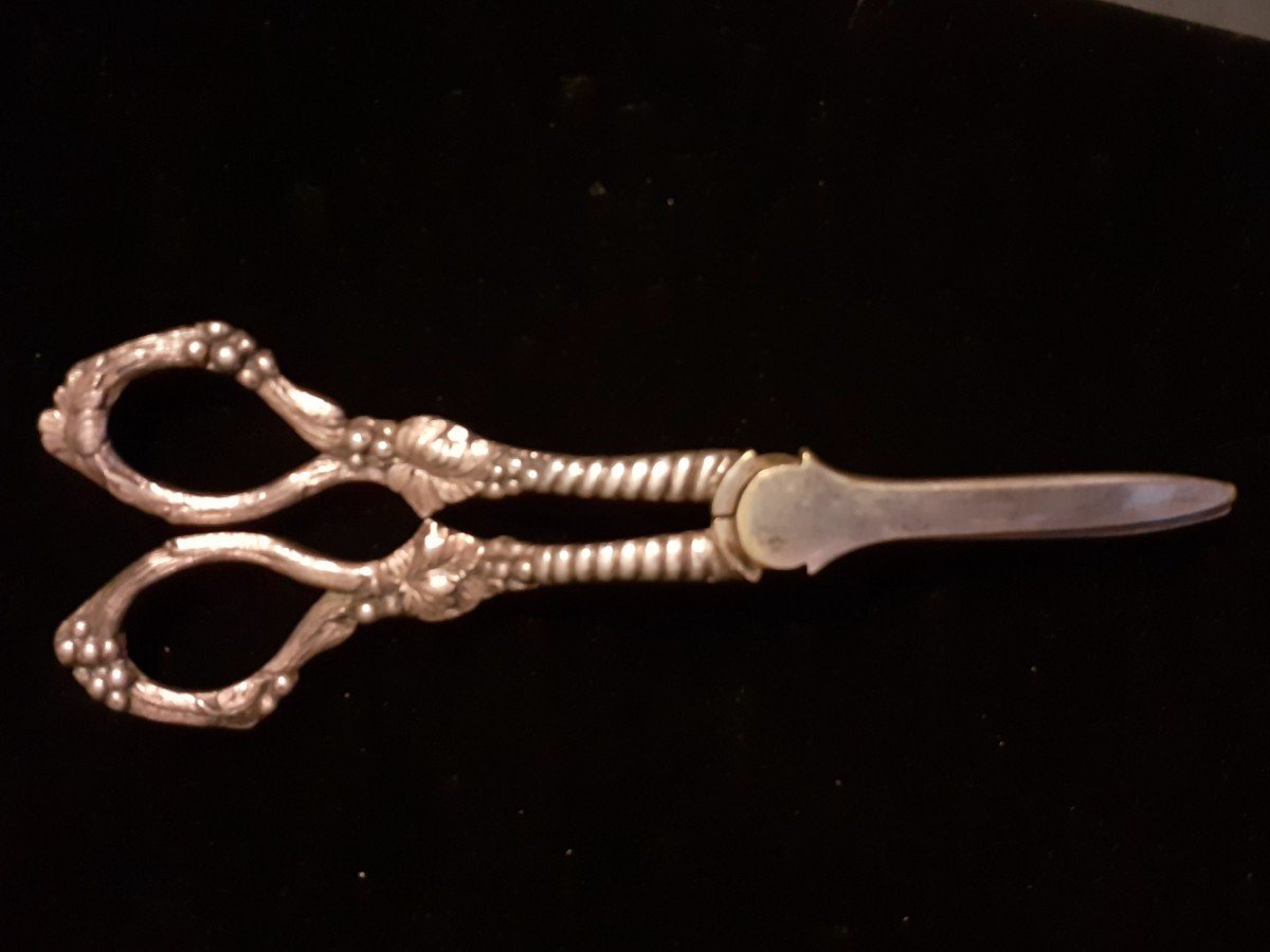 Silver Metal Grape Scissors -photo-2