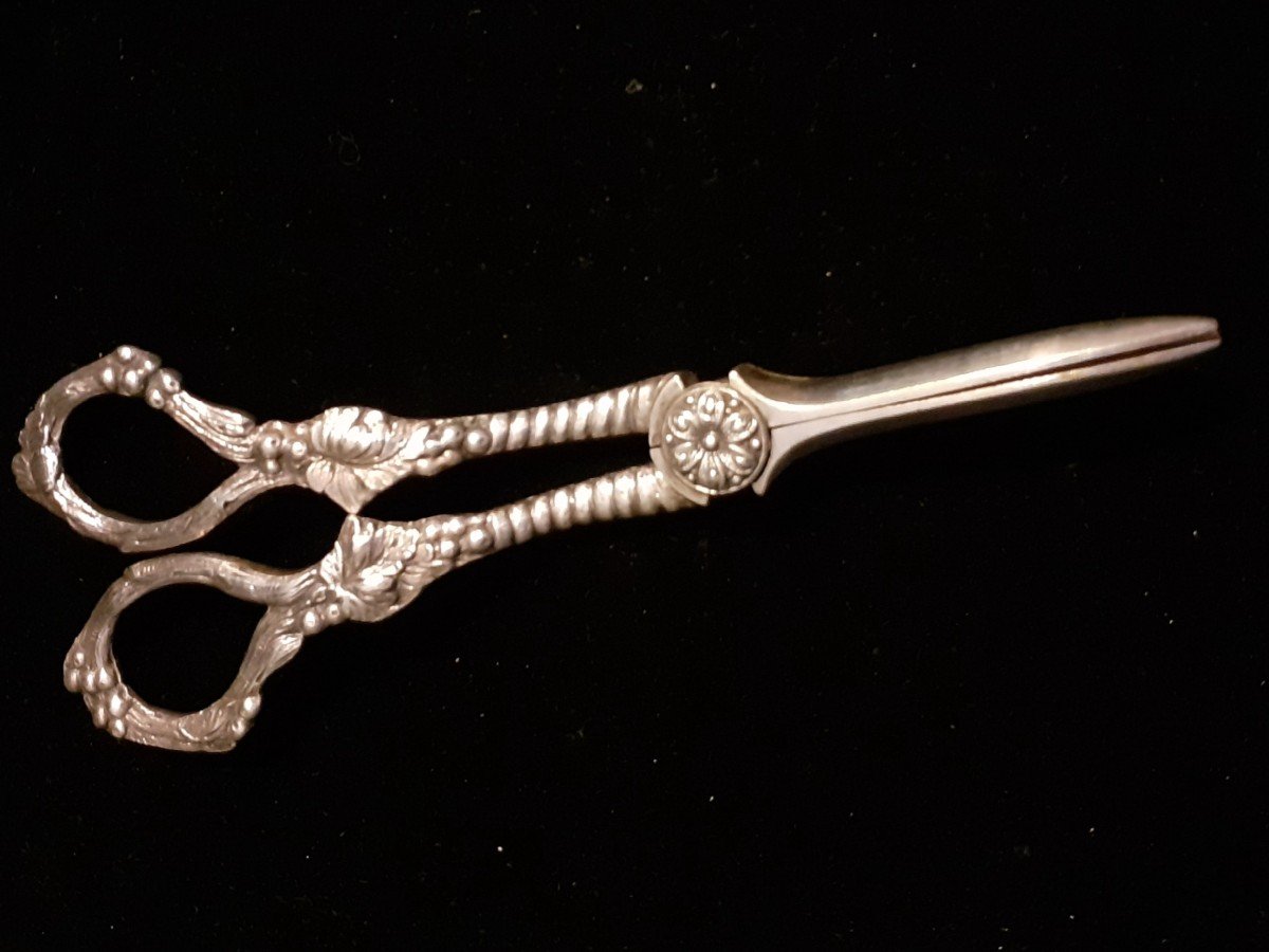 Silver Metal Grape Scissors -photo-3