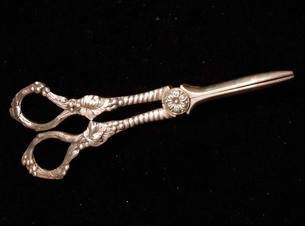 Silver Metal Grape Scissors 