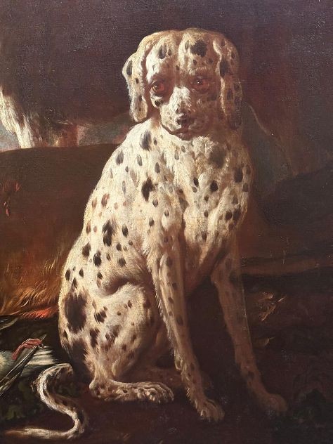Chiens de chasse et cerfs-photo-3