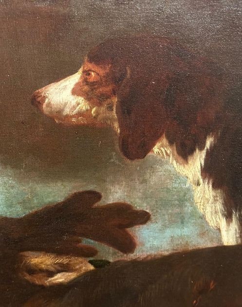 Chiens de chasse et cerfs-photo-1