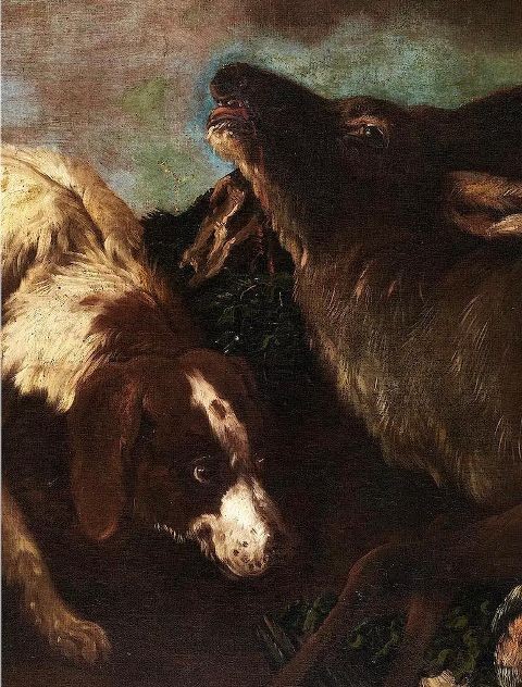 Chiens de chasse et cerfs-photo-3