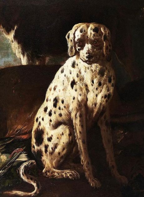 Chiens de chasse et cerfs-photo-5