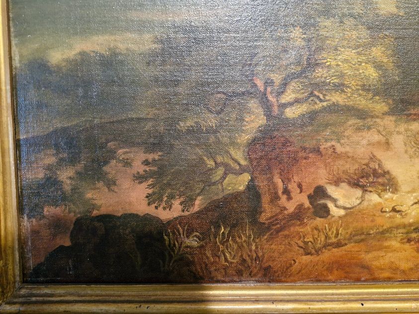 PAYSAGE AVEC DES ANIMAUX-photo-4