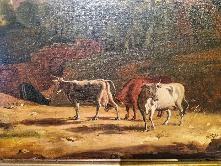 PAYSAGE AVEC DES ANIMAUX-photo-1