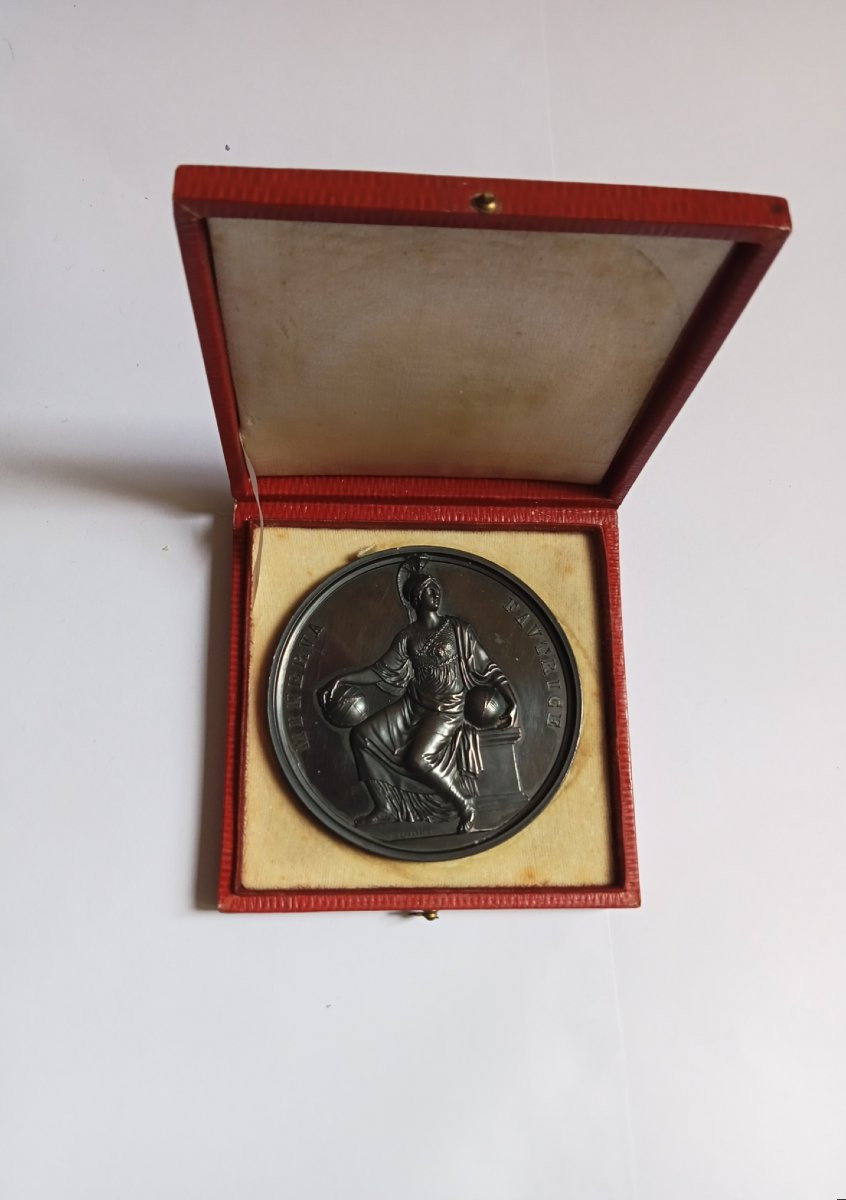 Bronze Medal Of Minerva, Italian Scientific Congress 1840 Signed Galeazzi, Original Case -photo-4