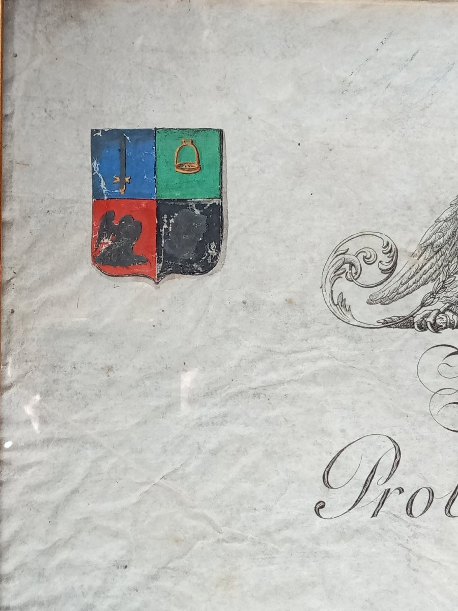 First Empire Patent Of Count For General Fouler, Equerry To The Empress, Signed Napoleon -photo-3