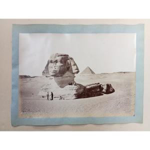 Le Sphinx Armachis, Caire, Egypte. Photographie, tirage albuminé signé H.BECHARD, 1878, 19e