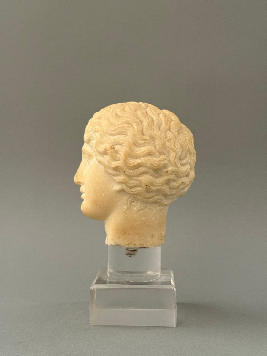 Statuary Marble Head Of Artemis - 17th Century - Italy-photo-4