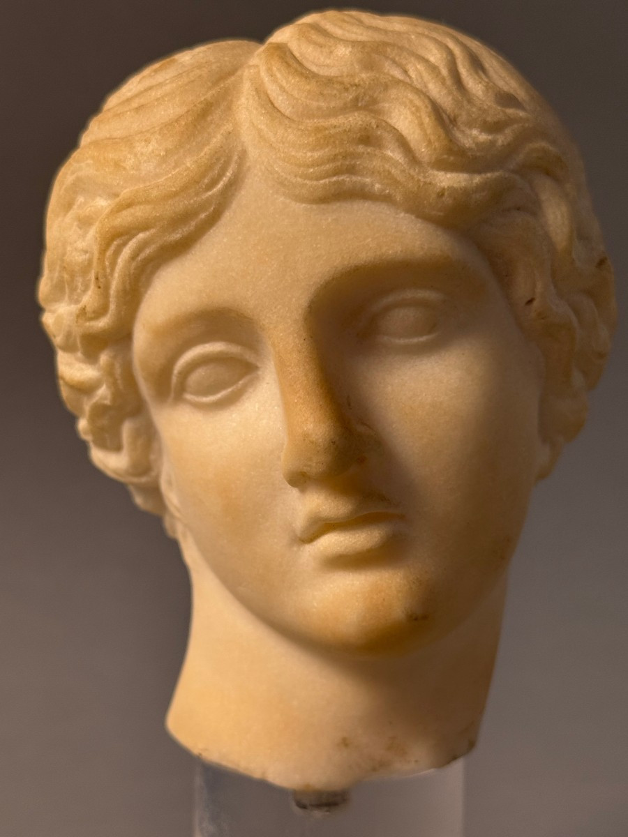 Statuary Marble Head Of Artemis - 17th Century - Italy-photo-7