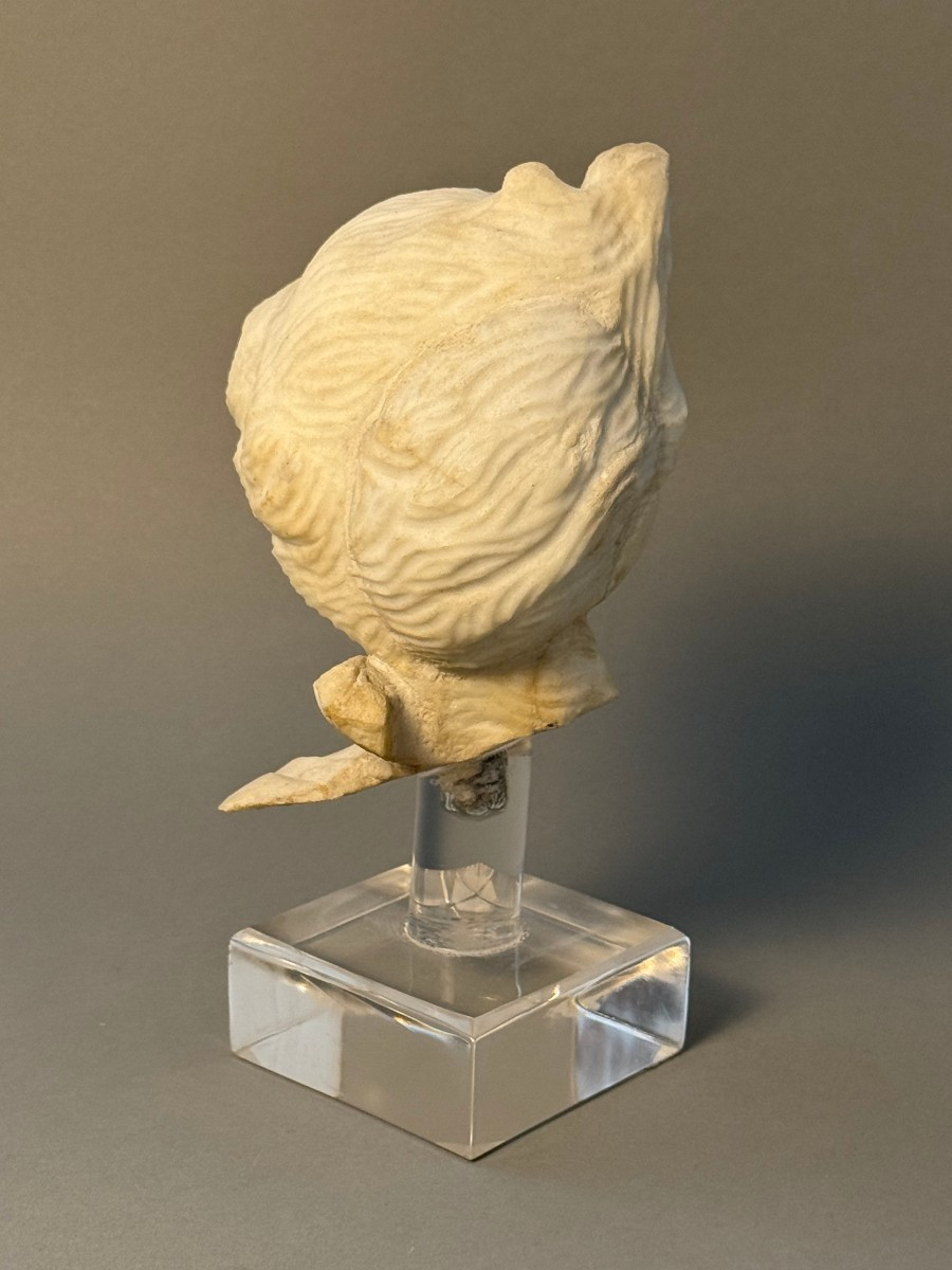 Tête en marbre néoclassique - XVIIIe siècle-photo-2
