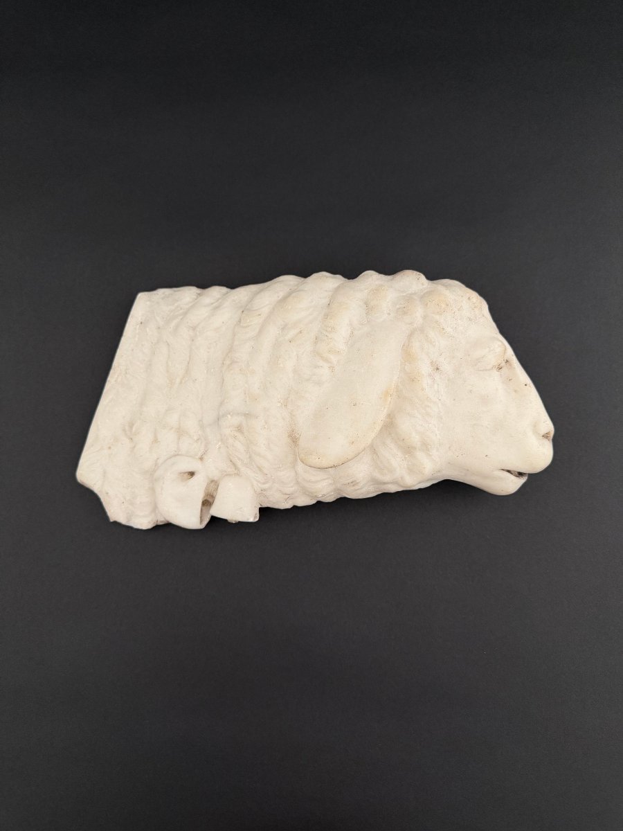 Marble Fragment Depicting A Lamb—17th Century. Tuscany -photo-3