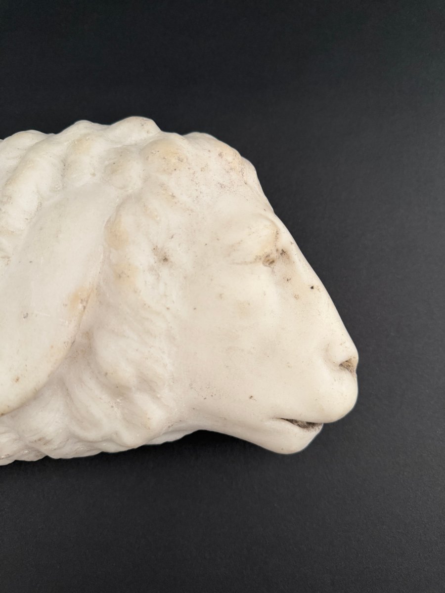 Marble Fragment Depicting A Lamb—17th Century. Tuscany -photo-1