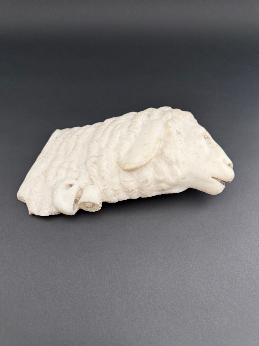 Marble Fragment Depicting A Lamb—17th Century. Tuscany -photo-3