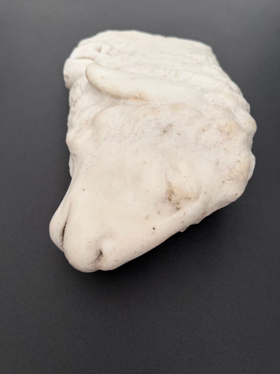 Marble Fragment Depicting A Lamb—17th Century. Tuscany -photo-4