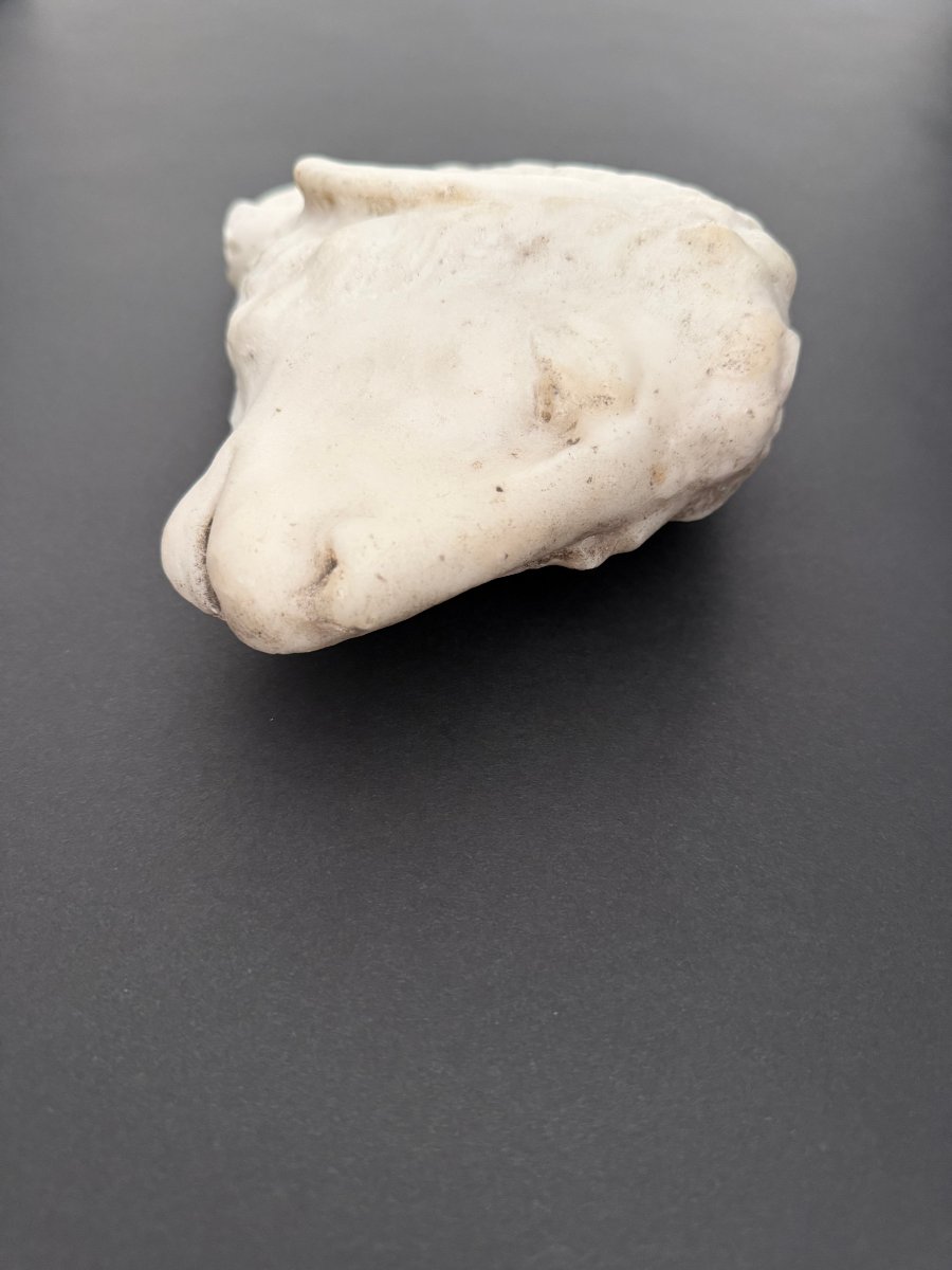Marble Fragment Depicting A Lamb—17th Century. Tuscany -photo-5