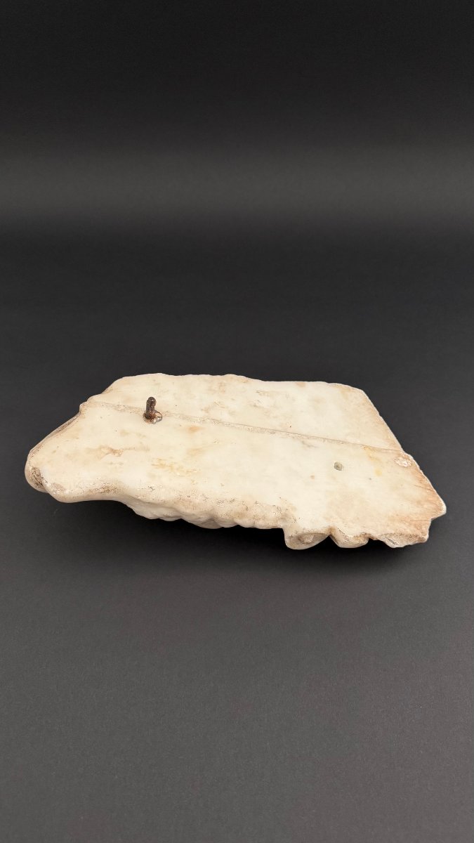 Marble Fragment Depicting A Lamb—17th Century. Tuscany -photo-7