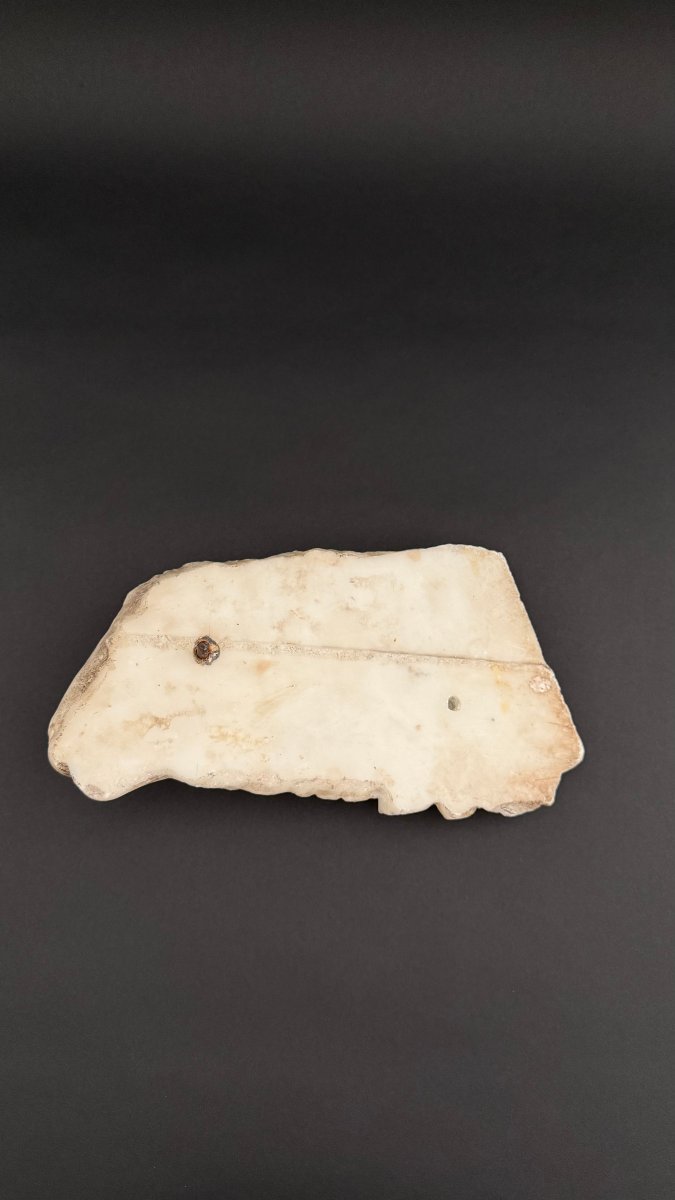 Marble Fragment Depicting A Lamb—17th Century. Tuscany -photo-8