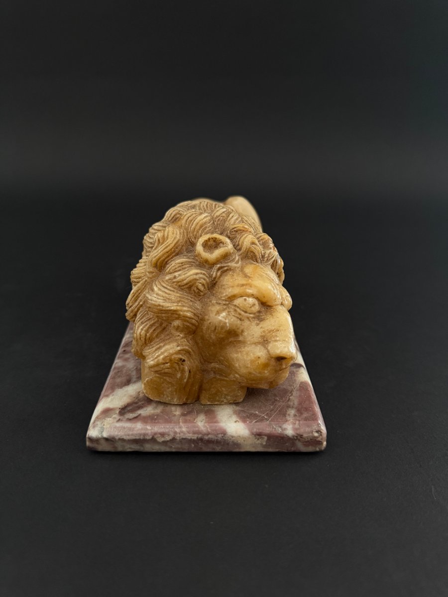 Alabaster Sculpture Depicting A Lion With A Marble Base—18th Century. Tuscany-photo-1