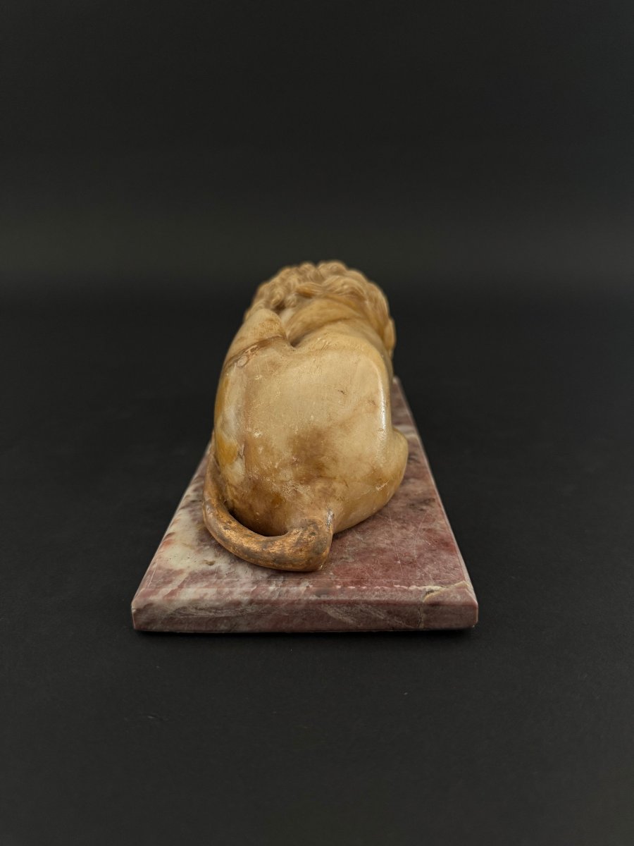 Alabaster Sculpture Depicting A Lion With A Marble Base—18th Century. Tuscany-photo-7