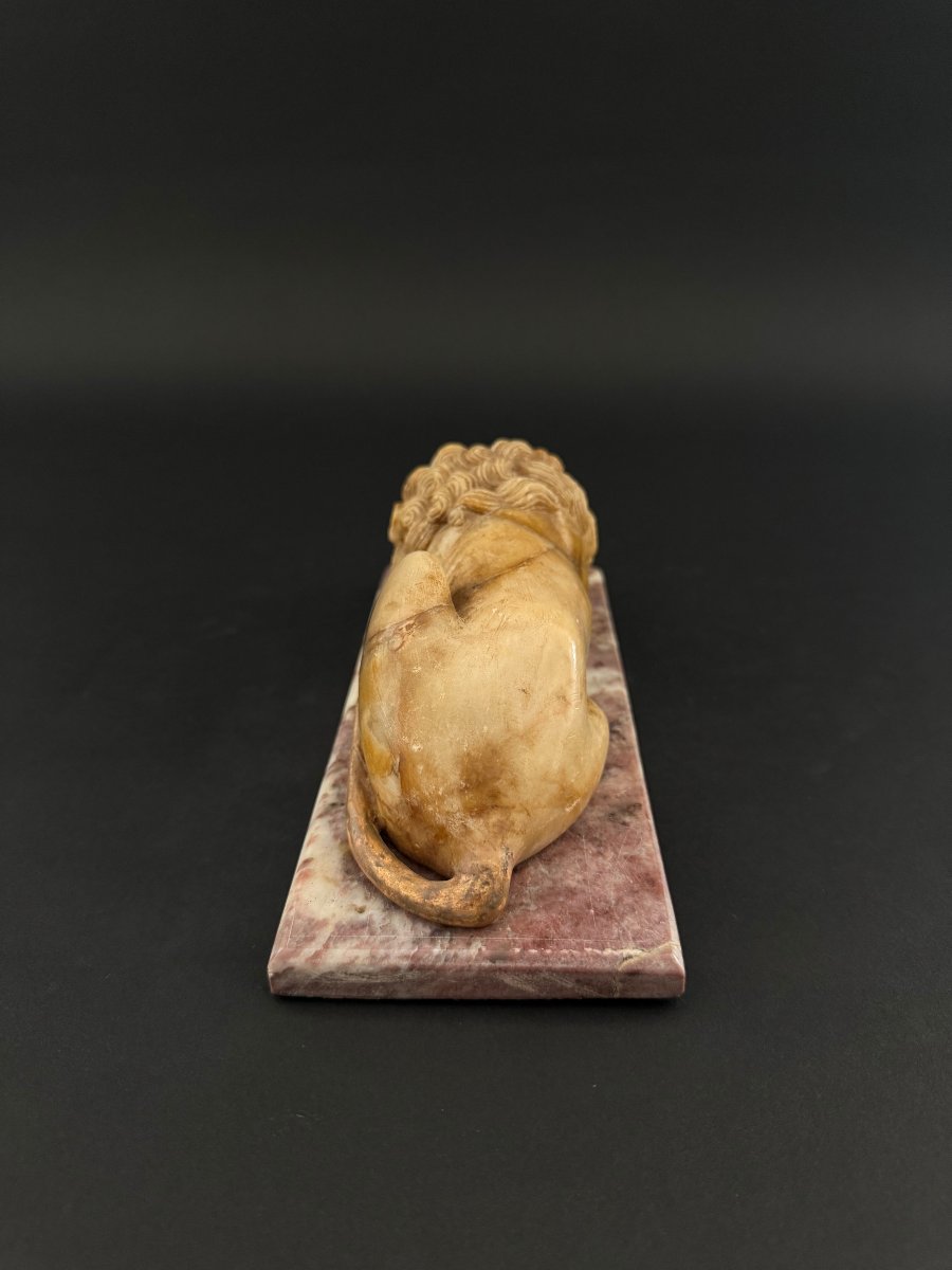 Alabaster Sculpture Depicting A Lion With A Marble Base—18th Century. Tuscany-photo-8