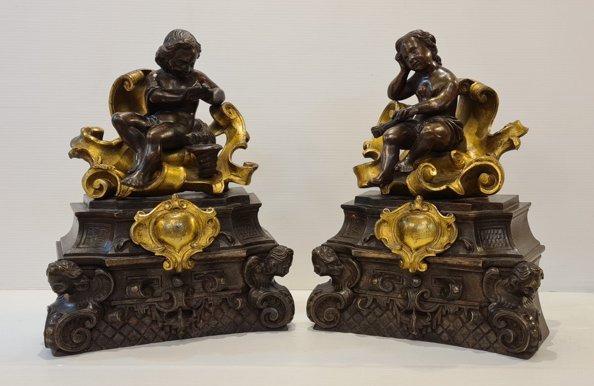 Pair Of Andirons With Gilt Bronze Putti, 19th Century, Louis XV Style-photo-2