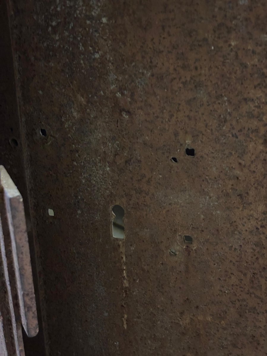 Paire de portes en fer forgé-photo-1