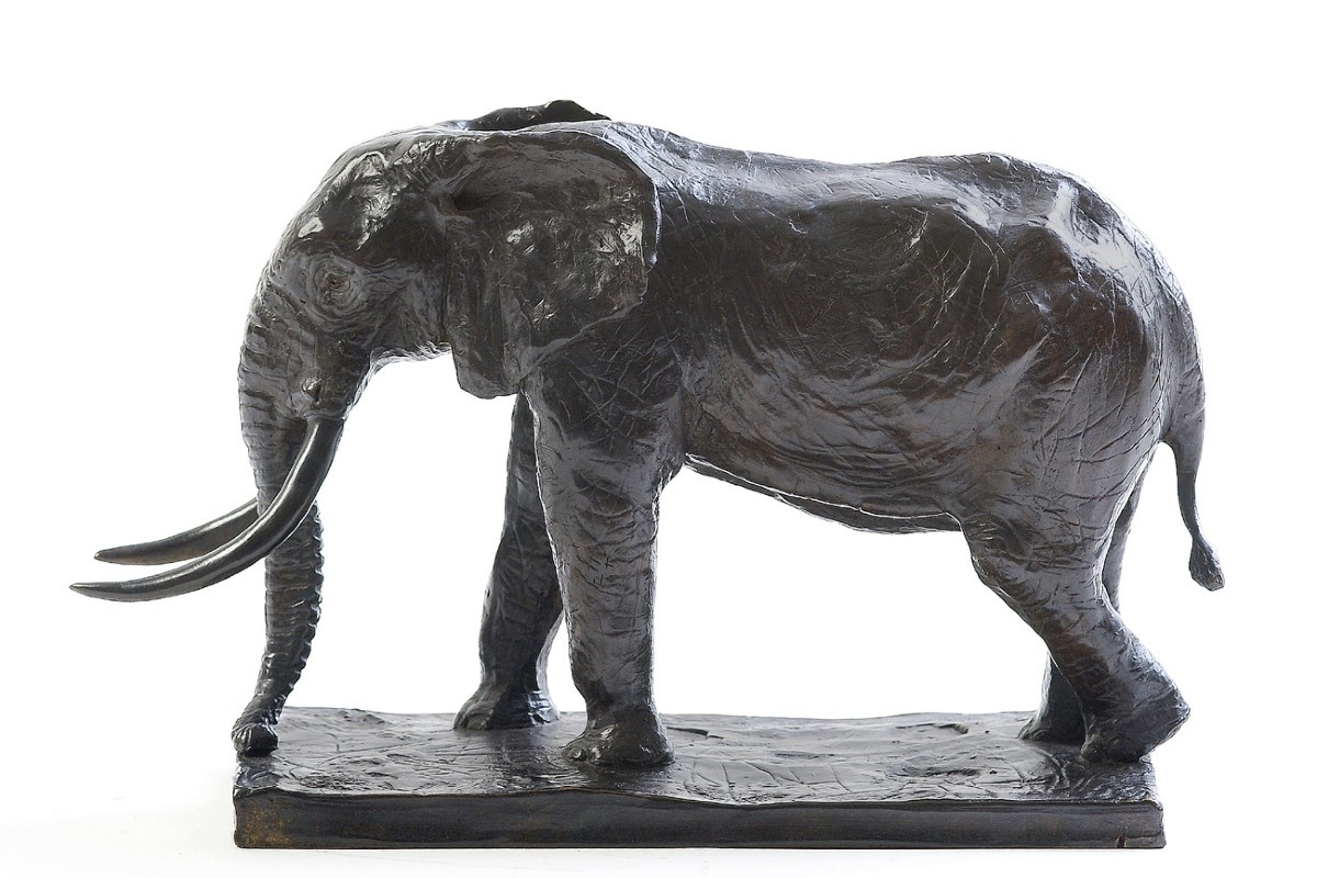 Bronze Original De Damien Colcombet " Grand Elephant D Afrique " Bronze Original 12 Ex  