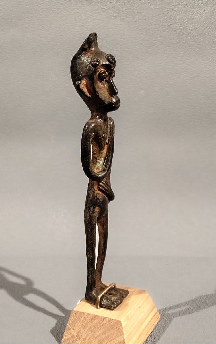 Small Bronze Borneo -photo-4