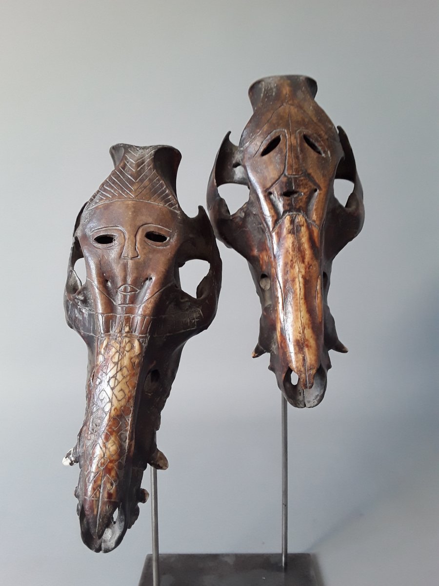 Two Carved Wild Pig Skulls