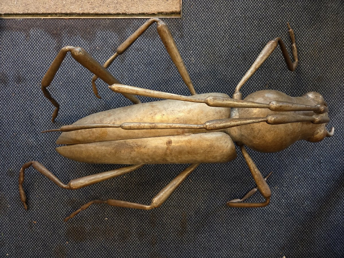 Metal Sculpture Representing An Insect, Signed René Broissand (1928-2019)-photo-1
