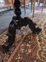 1810219-6a871add2c83e.jpg