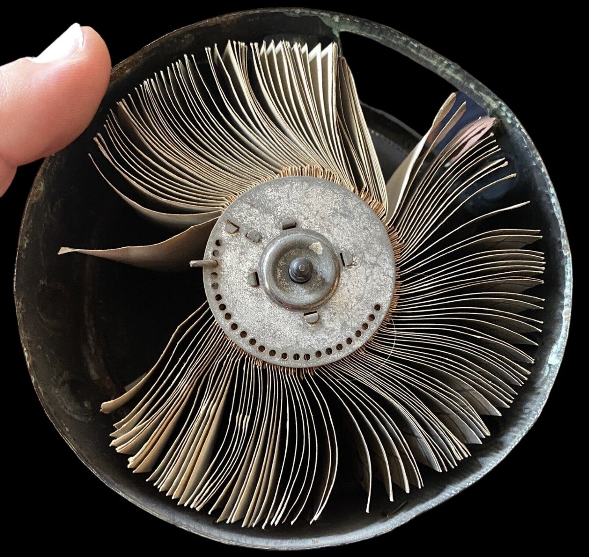 Folioscope BIOFIX vers 1900-photo-2