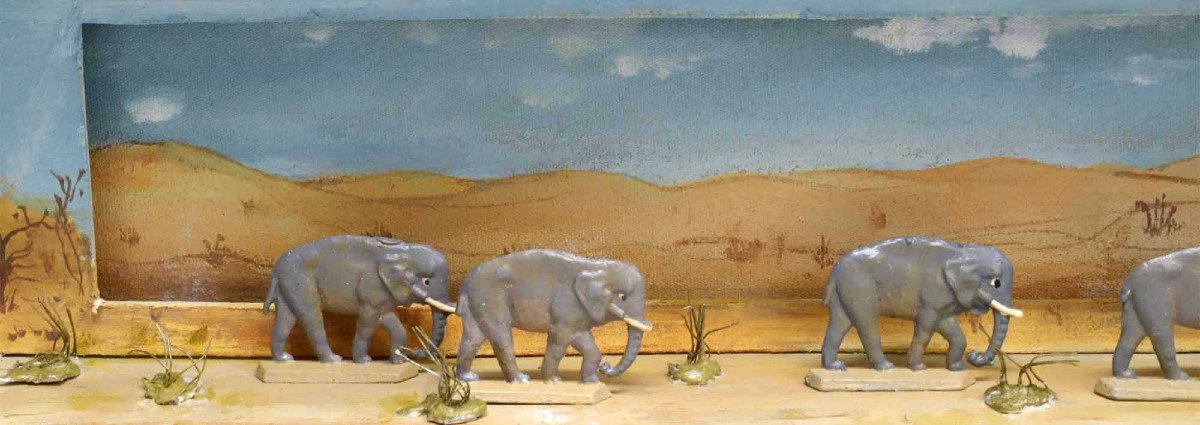 Elephants Panorama 1900-photo-4