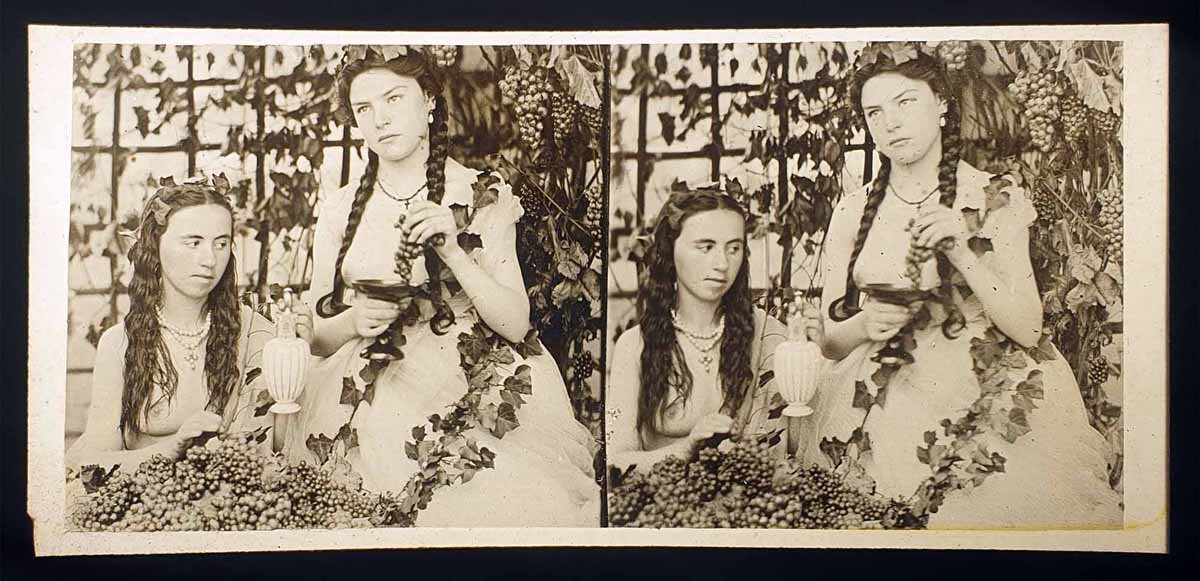 Erotic Stereo Photo Of Female Nudity Circa 1900-photo-2