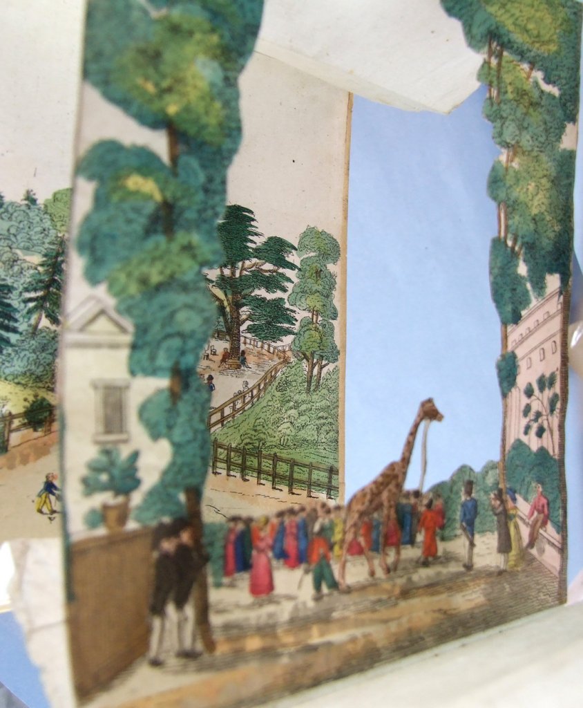 Perspective - Jardin Des Plantes 1835-photo-2