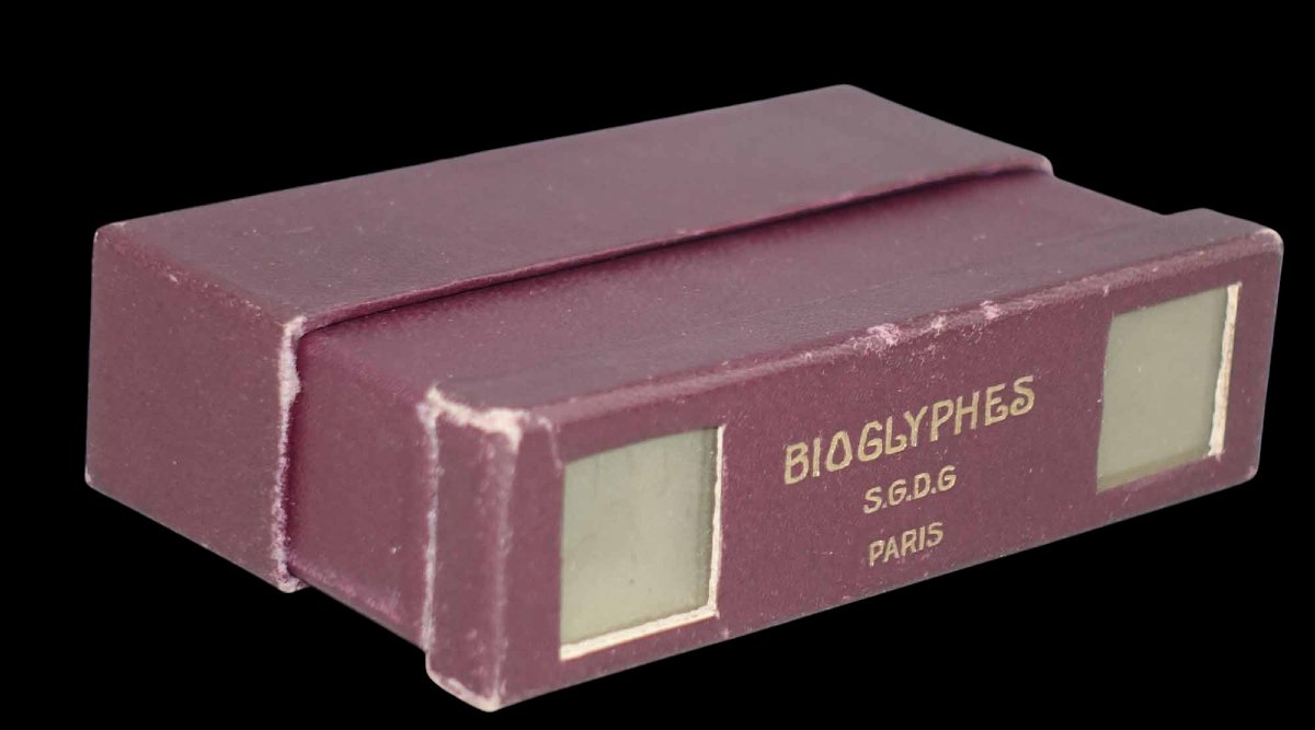 Bioglyphs - Life In Relief 1931-photo-3