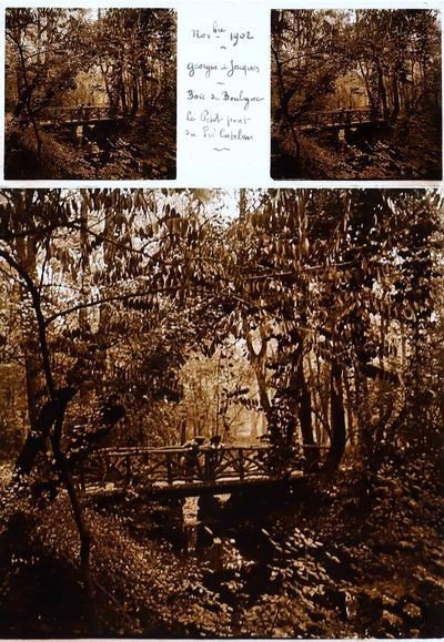 BOIS de BOULOGNE 1900-1910 -25 photographies stéréoscopiques sur verre -photo-3