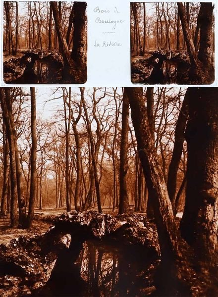 BOIS de BOULOGNE 1900-1910 -25 photographies stéréoscopiques sur verre -photo-4