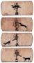 1829308-alb-6abb6c83ba51f.jpg
