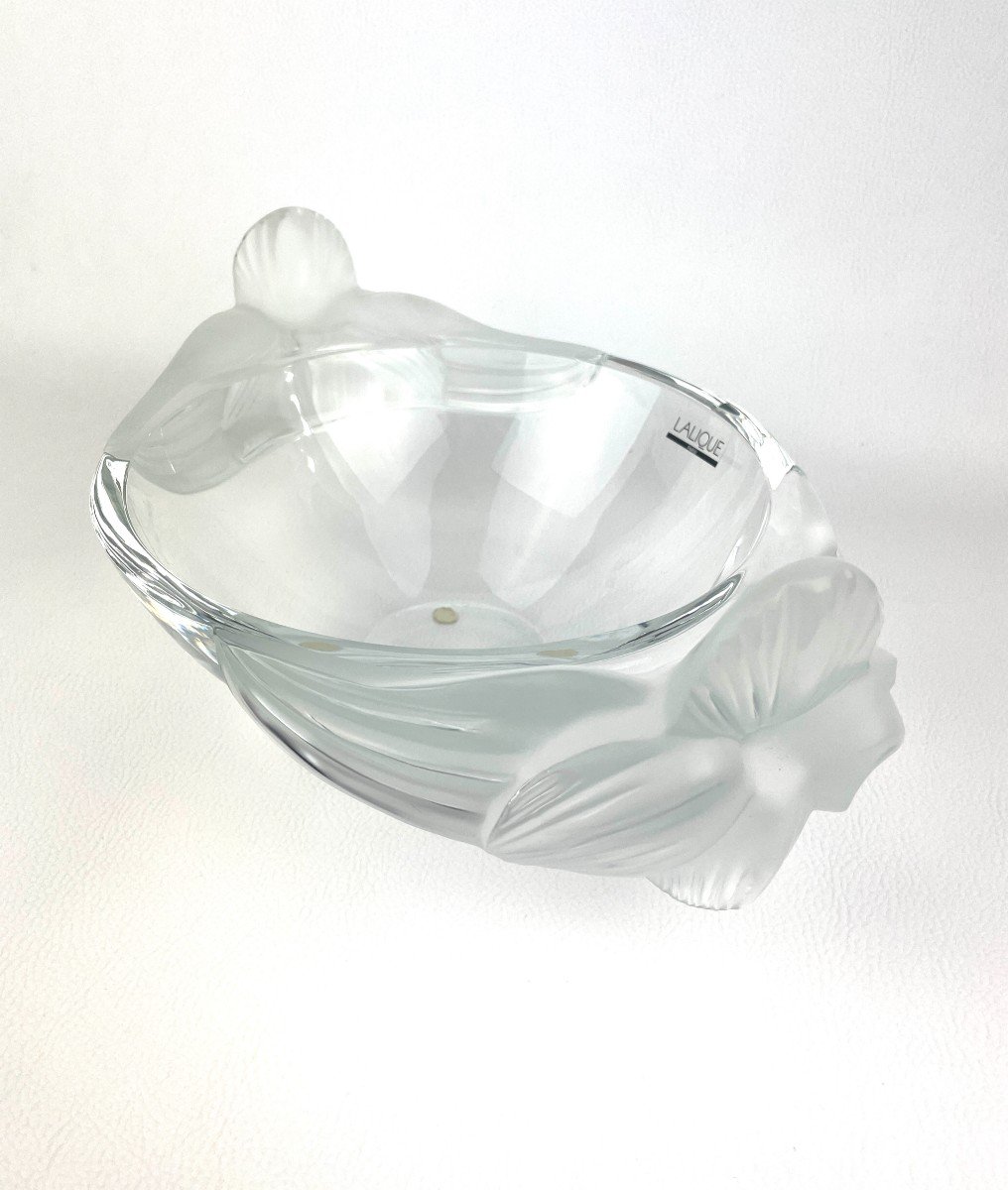 “loriol” Model Cup In Crystal By Lalique France