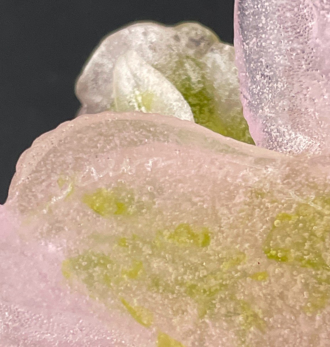 Vase Soliflore Modèle « Roses » Par Daum-photo-4
